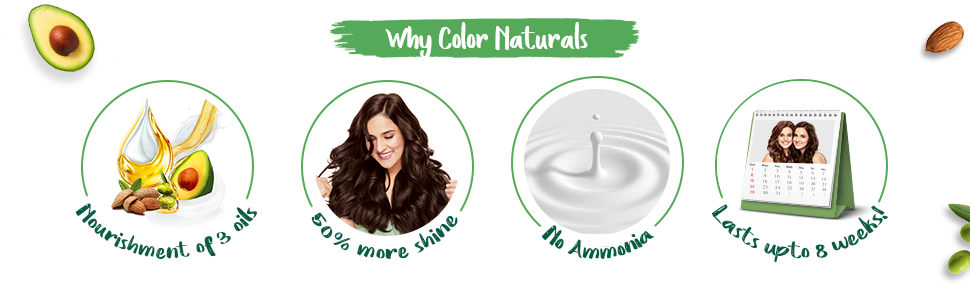  : Buy Garnier Color Naturals Creme Hair Color - 3 Darkest Brown (35  ml + 30g) online in India on Foxy. Free shipping, watch expert reviews.