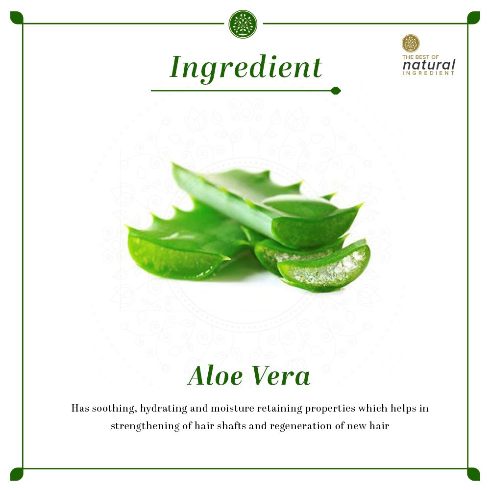 Foxy.in : Buy Khadi Natural Trasparent Aloe Vera Facial Massage Gel ...